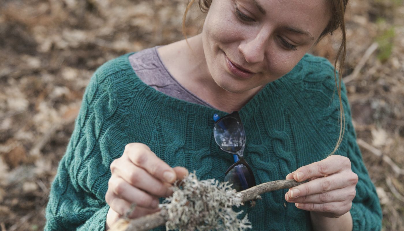 Explorez l'usage médicinal de la racine de pissenlit