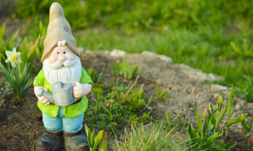 Guide pour sélectionner le nain de jardin idéal pour votre extérieur